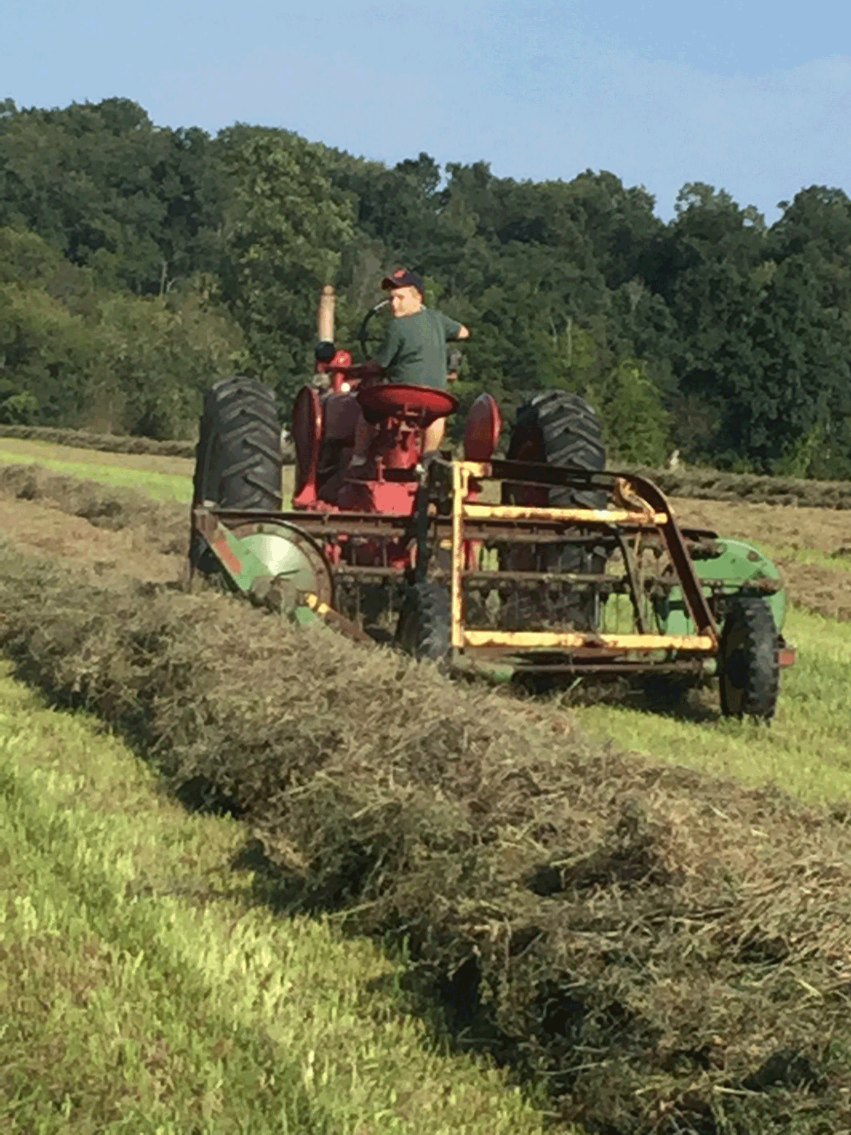 Luke's first hay rake
