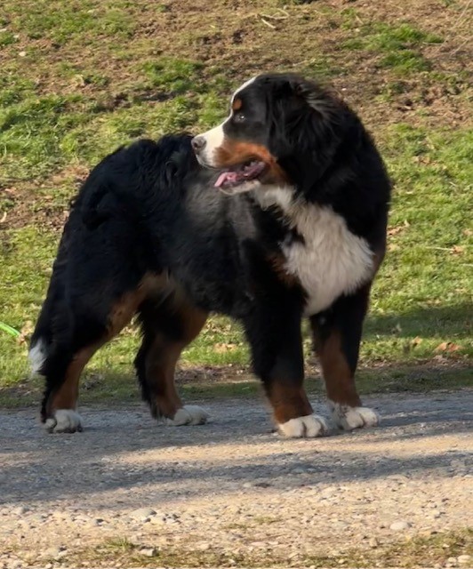 wanda side